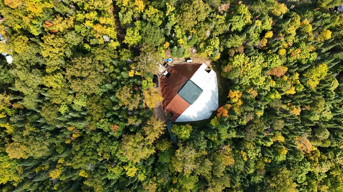 Geodesic structure from drone in forest