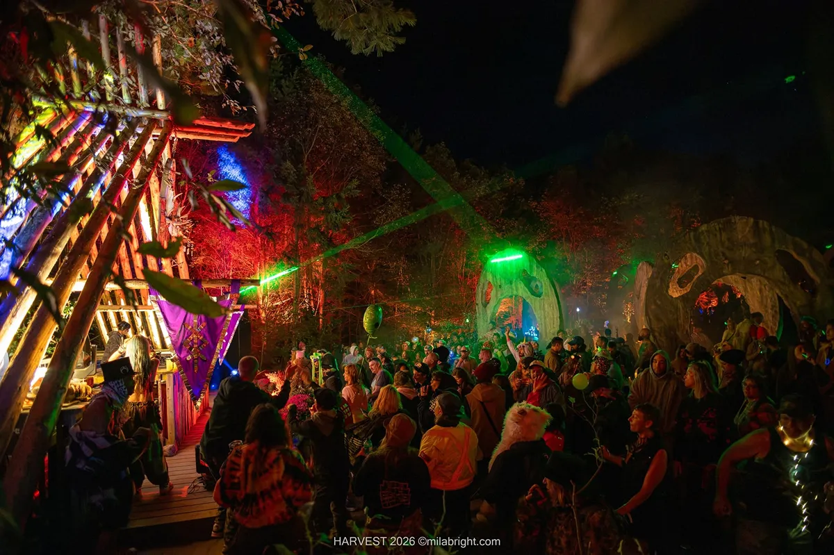 Nighttime festival gallery with colourful lights and a crowd