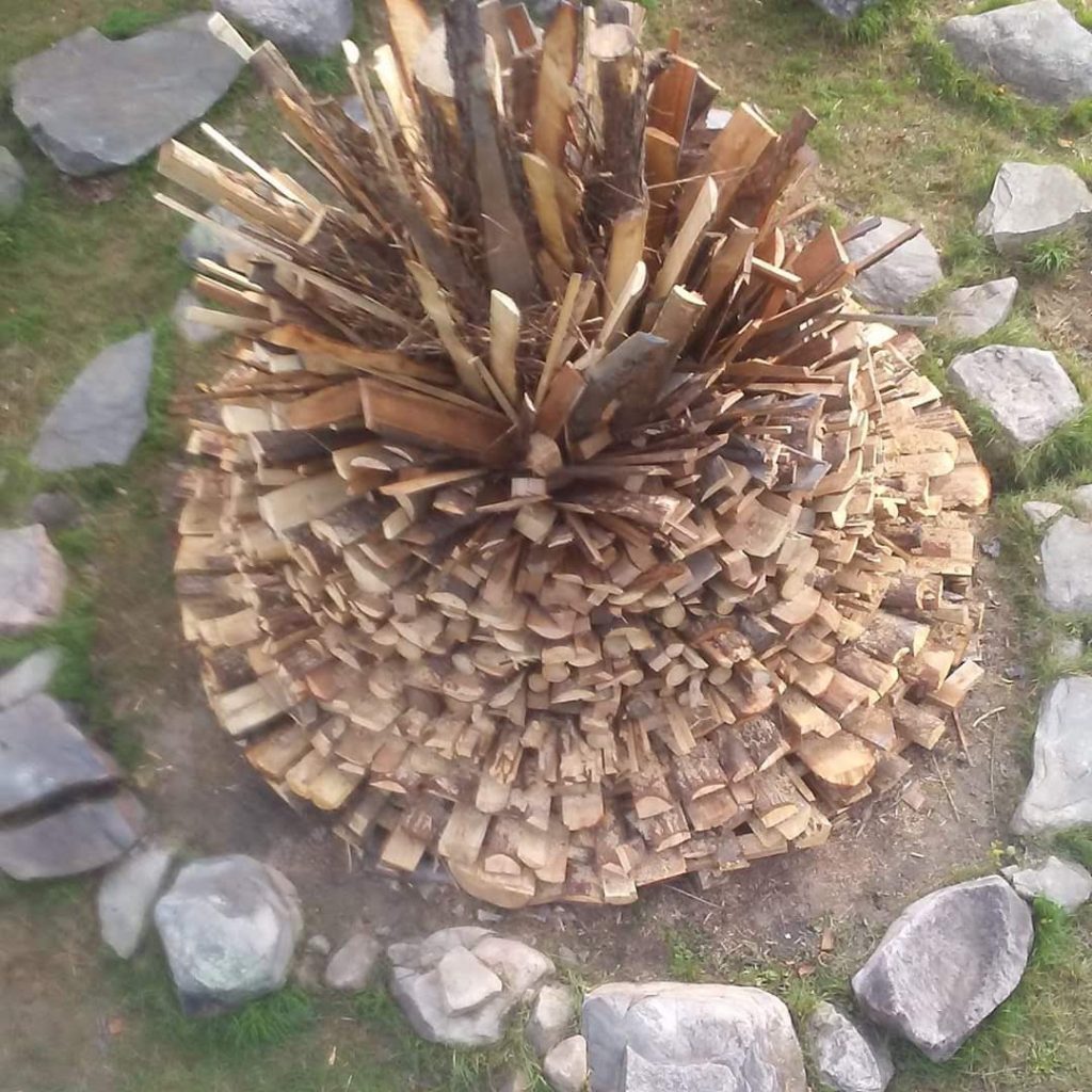 Photos Harvest festival 2021