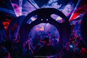 HARVEST 2025, @milabright_photo-2995 Crowd at a dark, atmospheric music festival with colorful laser lights