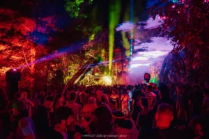 HARVEST 2025, @milabright_photo-3190 Crowd at a colourful forest music festival with laser lights.