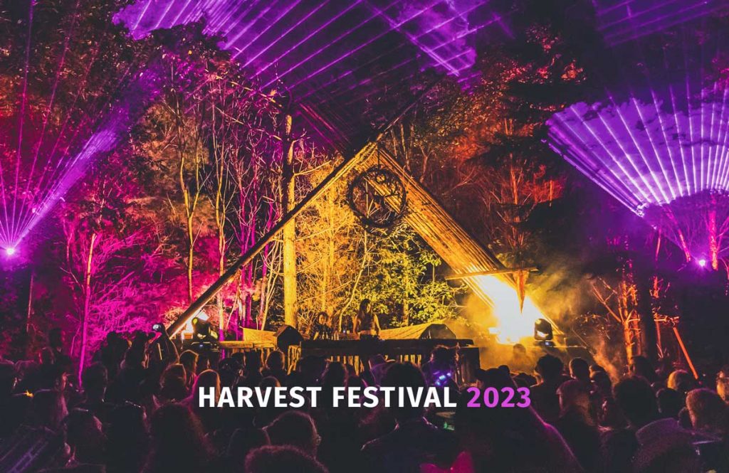 A crowd gathered around a wooden a-frame stage with neon purple lasers on trees